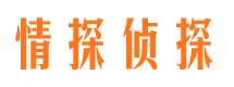 岐山私家侦探公司